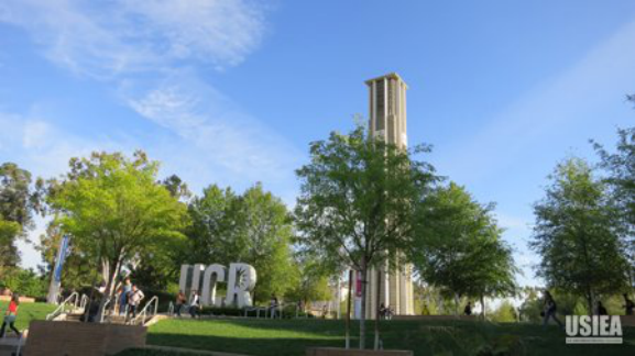 USIEA