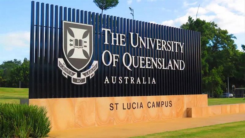 USIEA
